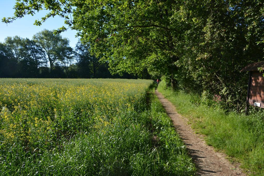 Ferienappartements "Landromantik" Bautzen Εξωτερικό φωτογραφία