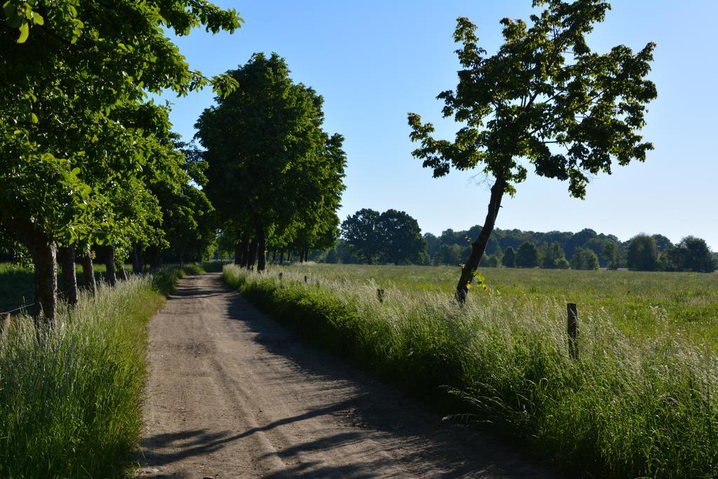 Ferienappartements "Landromantik" Bautzen Εξωτερικό φωτογραφία